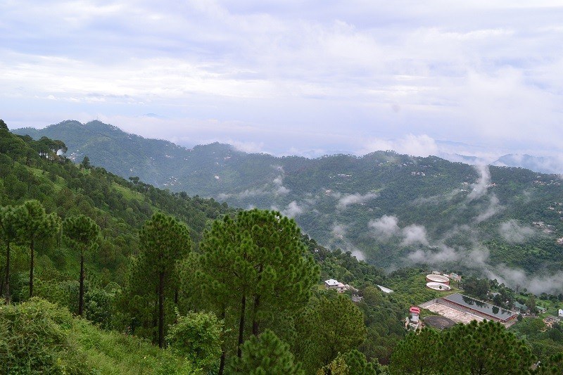 Kasauli Hotels
